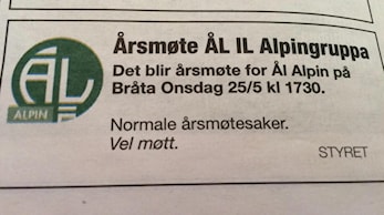 Årsmøte Ål Alpin